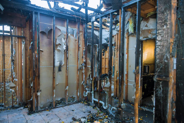 Professional Fire Damage Repair technician working in Goodhue, MN